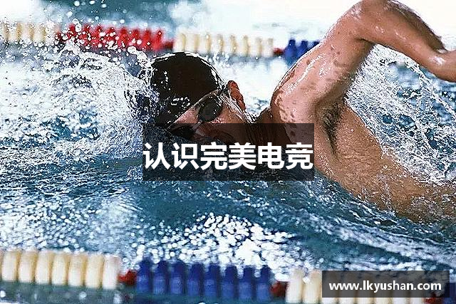 认识完美电竞